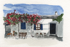 Paros_fleurs_150dpi