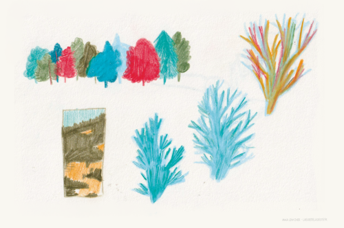 Crayon4