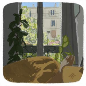 J20_Sieste