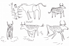 taureau5
