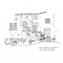 12_Cotton_WEB