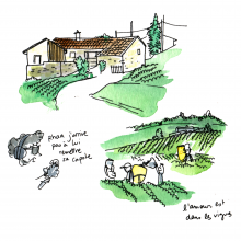 1_Vignes_WEB