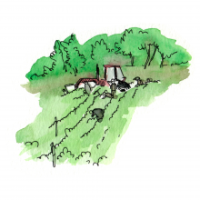 4_Tracteur_WEB