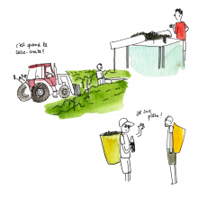 9_Plein_WEB