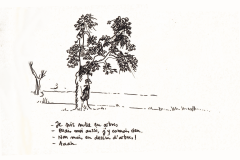 Arbres