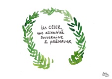 TR-Impuissance_Ceser