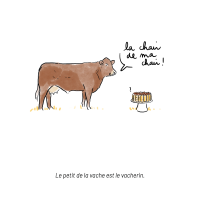 Vache