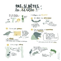 EEP_Pas-si-betes-les-bebetes_CreditsAL