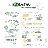 RID-AGE_Le-cerveau-dans-tous-ses-etats_Credits-AL