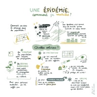 RID-AGE_Une-epidemie-comment-ca-marche_Credits-AL