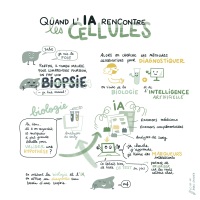 RNMCD-et-Labex-EGID_Quand-lIA-rencontre-les-cellules_Credits-AL